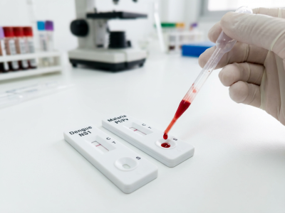 The Burden of Dengue and Malaria: Why Rapid Detection Matters 